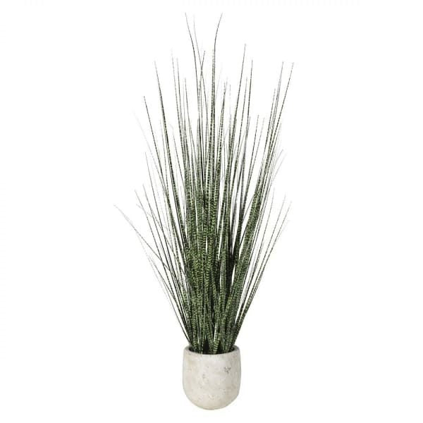 MOTTLED ONION GRASS IN STONE LOOK POT
